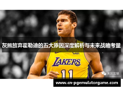 灰熊放弃霍勒迪的五大原因深度解析与未来战略考量