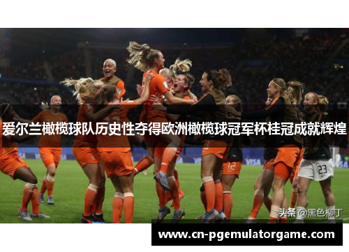 爱尔兰橄榄球队历史性夺得欧洲橄榄球冠军杯桂冠成就辉煌